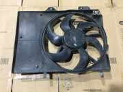 Kühlmodul Citroen DS3 (SA) 968295680