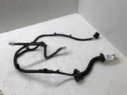 Türverkabelung hinten links NISSAN QASHQAI II (J11, J11_) 1.5 dCi 241274EA1B