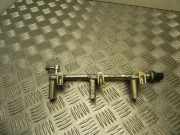 Einspritzleiste Jaguar XJ (X35) DX239G774AA