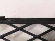 Gitter vorne unten BMW X5 (E70) xDrive 30 d 51117159597