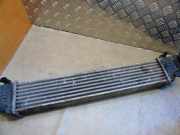 Ladeluftkühler MERCEDES-BENZ E T-Model (S211) E 320 T CDI (211.222) A2115003902