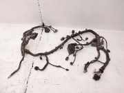 Kabelbaum KIA SOUL III (SK3) E-SOUL 91660J2010