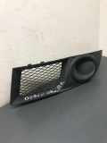 Gitter vorne unten FIAT DOBLO Cargo (223_) 1.3 D Multijet