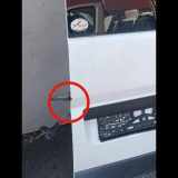 Tür links hinten Fiat Ducato Kasten (244)