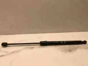 Heckklappe Gasdruckfeder rechts VW PASSAT B6 (3C2) 2.0 TDI 16V 3C9827550 3C9827550C