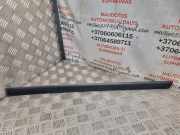 Türverkleidung links hinten VW Passat B5.5 (3B3) 3B0853753