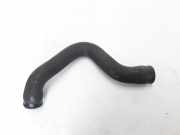 Wasserkühlerschlauch rechts