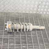 Stoßdämpfer hinten links JAGUAR F-TYPE Coupe (X152) 3.0 EX53-80-AD