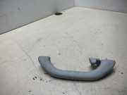 Griff Panoramadach VW Passat B5.5 Variant (3B6) 3B0857608A