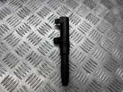 Zündspule RENAULT MEGANE II (BM0/1_, CM0/1_) 1.6 0040100052