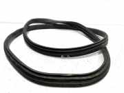 Türgummi links vorne Volvo XC60 II (246)