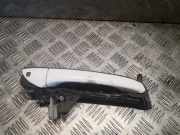 Türgriff rechts vorne Mercedes-Benz S-Klasse (W220) 2207600270