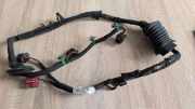 Türverkabelung hinten links VW PHAETON (3D_) 3.0 V6 TDI 4motion 3D0971694CQ
