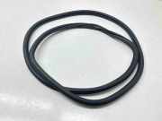 Türdichtung VW Passat B7 Alltrack (36, B7) 3G9867914K