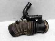 Andere Röhren NISSAN ALMERA TINO (V10) 2.2 dCi