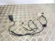 Türverkabelung hinten rechts