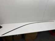 Dachleiste links VW ID.3 (E11) Pro 10A853701B