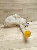 Fensterwaschtank MAZDA 5 (CR19) 2.0 CD 860142721