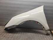 Kotflügel vorne links PORSCHE CAYENNE (92A) 4.8 Turbo