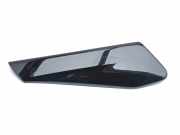 Türverkleidung vorne links VW ID.3 (E11) Pro S 10C867197B