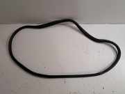 Vordere linke Türdichtungsgummi BMW i4 (G26) eDrive40 7482945