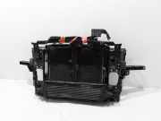 Kühler Infiniti FX (S51)