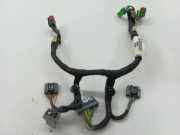 Kabelbaum LAND ROVER RANGE ROVER EVOQUE (L538) 2.2 D 4x4 EJ3214K042BB EJ3214K042