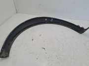 Kotflügelzierleiste hinten links