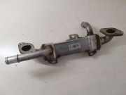 AGR-Kühler FORD GALAXY (WGR) 1.9 TDI 038131513L