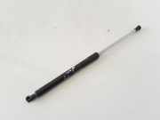 Heckklappendämpfer rechts Renault Clio III (BR0/1, CR0/1) 8200299546