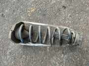 Schraubenfeder hinten links RENAULT KADJAR (HA_, HL_) 1.5 dCi 110