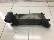 Ladeluftkühler Citroen C5 III (RD)