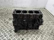 Motorblock FORD KUGA I 2.0 TDCi 4x4