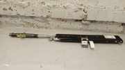 Türairbag vorne links PORSCHE 911 Cabrio (991) 3.0 Carrera GTS 99180309201