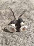 Blinker Kotflügel links Skoda Fabia (6Y) 1U0949127
