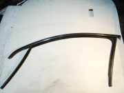 Türgummi links vorne VW Passat B7 Variant (365) 3С4837431
