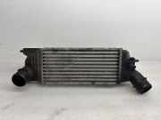 Ladeluftkühler PEUGEOT 407 (6D_) 1.6 HDi 110 874823NK IA1095