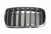 Vorderer oberer Gitter BMW X5 (F15, F85) xDrive 30 d 7316057 7316075
