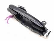 Türaußengriff hinten links TOYOTA RAV 4 V (A5, H5) 2.5 Hybrid AWD (AXAP54)