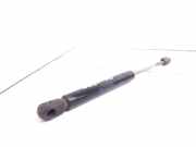 Heckklappe Gasdruckfeder links NISSAN PRIMERA (P11) 2.0 TD 7585GB