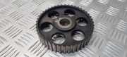 Zahnrad für Nockenwelle VW Passat B5 (3B2) 069109111