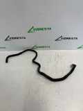 KRAFTSTOFFVERTEILER EINSPRITZLEISTE VERTEILERROHR MAZDA 2 (DL, DJ) 1.5 CG83E09