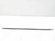 Türfensterleiste hinten links JAGUAR XJ (X350) 2,7 D