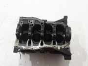 Motorblock RENAULT KANGOO / GRAND KANGOO (KW0/1_) 1.5 dCi (KW0A) 110103693R