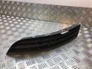 Gitter vorne unten VW PASSAT B6 (3C2) 1.9 TDI 3C0853665
