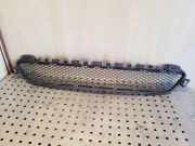 Gitter vorne unten MERCEDES-BENZ C Coupe (C205) C 200 (205.342)