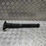 Stoßdämpfer hinten links CITROËN C4 III (BA_, BB_, BC_) 1.2 PureTech 131 9841379480