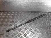 Heckklappe Gasdruckfeder rechts