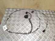 Kabelbaum FORD FOCUS IV (HN) 1.0 EcoBoost BV6T15K868AGA