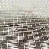 Andere Röhren BMW 3 (F30, F80) 330 d 8509994 8509993